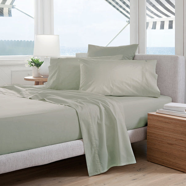 Oxford 300TC Crisp Cotton Percale Sheet Set Range Leafy Sage