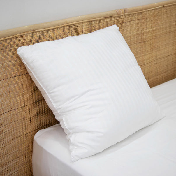 Luxury 1000g European Pillow