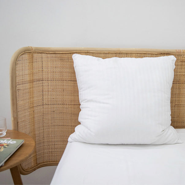 Luxury 1000g European Pillow