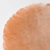 Luxury Velvet 55cm Filled Round Cushion Hazelnut