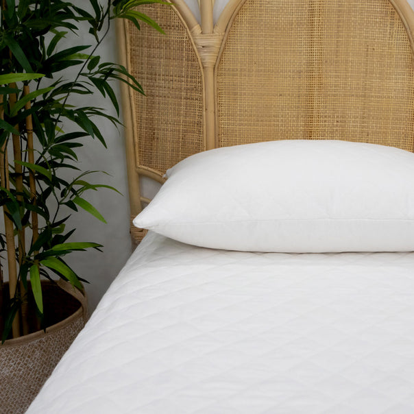 Cotton Standard Pillow Protector