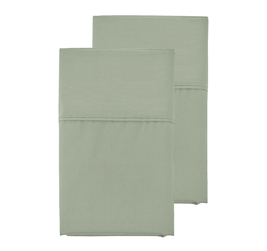 Oxford 300TC Crisp Cotton Percale Standard Pillowcase Pair Leafy Sage
