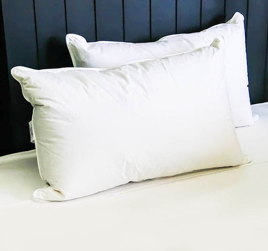 Goose 80 Down and 20 Feather Superfill Standard Pillow
